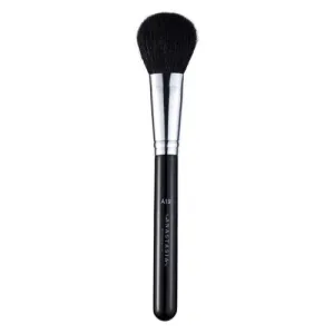 A19 Pro Brush - Blush Brush